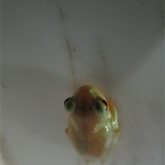 Unverified at suppressed - suppressed