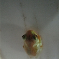 Unverified at suppressed - suppressed