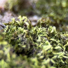 Unverified at suppressed - suppressed