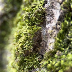 Unverified at suppressed - suppressed