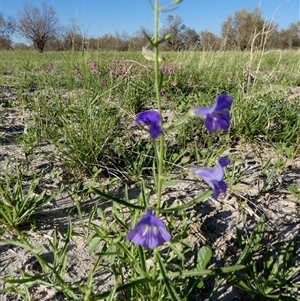 Unidentified at suppressed - 22 Aug 2024