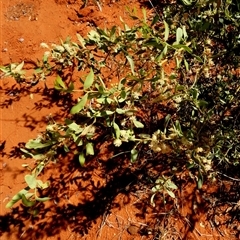 Unverified at suppressed - suppressed