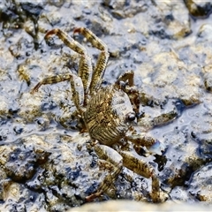 Unverified at suppressed - suppressed