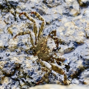 Unverified at suppressed - suppressed