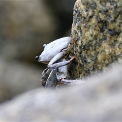 Unverified at suppressed - suppressed