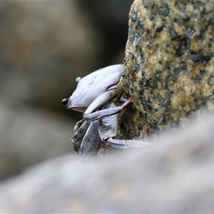 Unverified at suppressed - suppressed