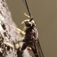 Unverified at suppressed - suppressed