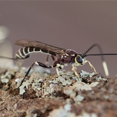 Unverified at suppressed - suppressed