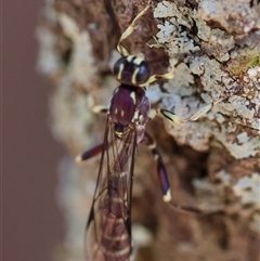 Unverified at suppressed - suppressed