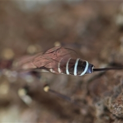 Unverified at suppressed - suppressed