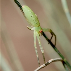 Unidentified at suppressed - 29 Sep 2024