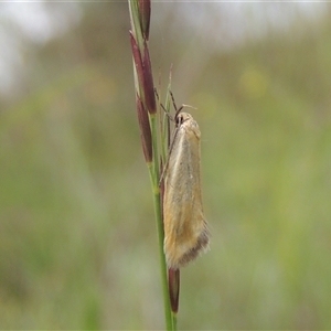 Unidentified at suppressed - 7 Jan 2024