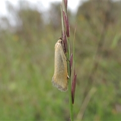 Unidentified at suppressed - 7 Jan 2024