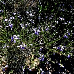 Unverified at suppressed - suppressed