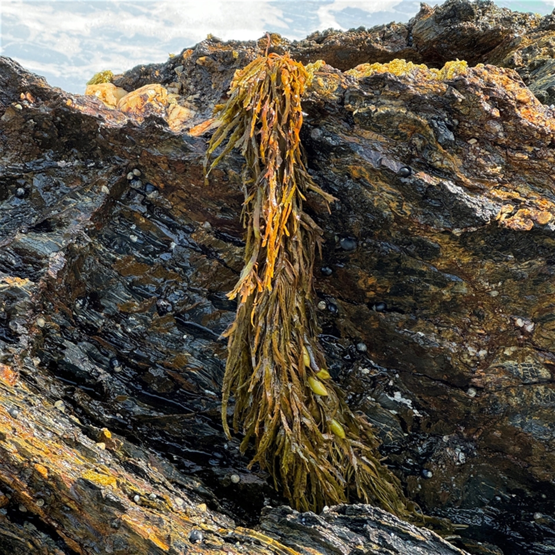 Unverified at suppressed - suppressed