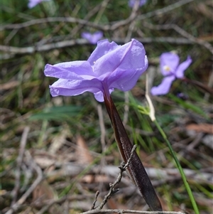 Unidentified at suppressed - 25 Sep 2024