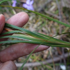 Unidentified at suppressed - 25 Sep 2024