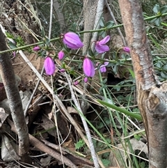 Unverified at suppressed - suppressed