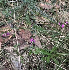 Unverified at suppressed - suppressed