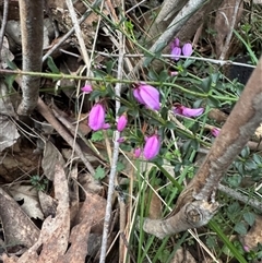 Unverified at suppressed - suppressed