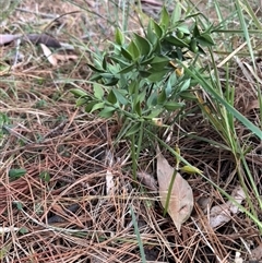 Unverified at suppressed - suppressed