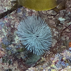 Unverified at suppressed - suppressed