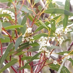 Unverified at suppressed - suppressed