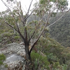 Unverified at suppressed - suppressed