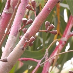 Unverified at suppressed - suppressed