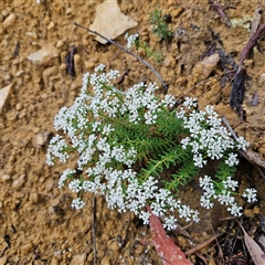 Unidentified at suppressed - 2 Oct 2024