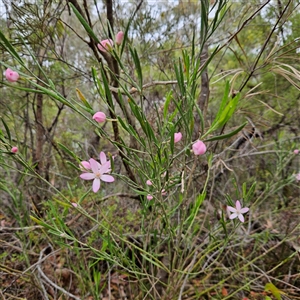 Unidentified at suppressed - 2 Oct 2024