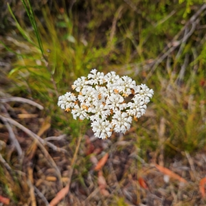 Unidentified at suppressed - 2 Oct 2024