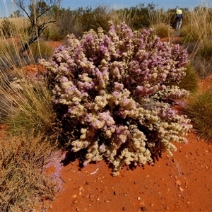 Unidentified at suppressed - 27 Aug 2024