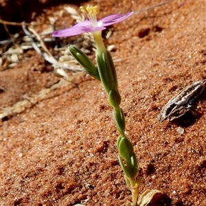 Unidentified at suppressed - 29 Aug 2024