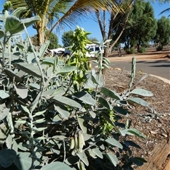 Unverified at suppressed - suppressed