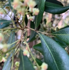 Unverified at suppressed - suppressed