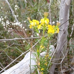 Unverified at suppressed - suppressed