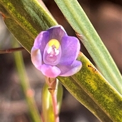 Unverified at suppressed - suppressed