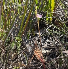 Unverified at suppressed - suppressed