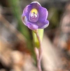 Unverified at suppressed - suppressed