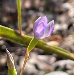 Unverified at suppressed - suppressed