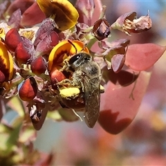 Unverified at suppressed - suppressed