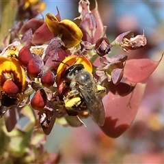 Unverified at suppressed - suppressed