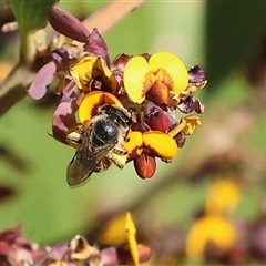 Unverified at suppressed - suppressed