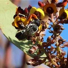 Unverified at suppressed - suppressed