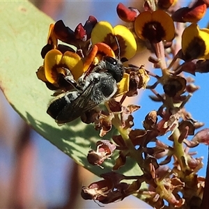 Unverified at suppressed - suppressed