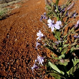 Unidentified at suppressed - 8 Sep 2024