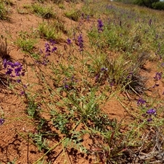 Unidentified at suppressed - 8 Sep 2024