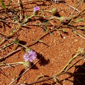 Unidentified at suppressed - 9 Sep 2024