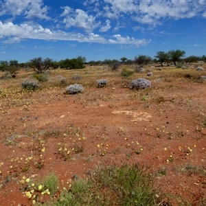 Unidentified at suppressed - 9 Sep 2024